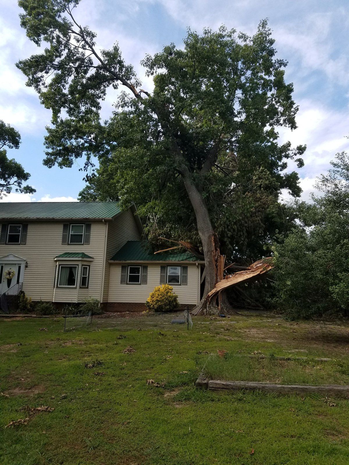 Large tree leaning toward a two-story house