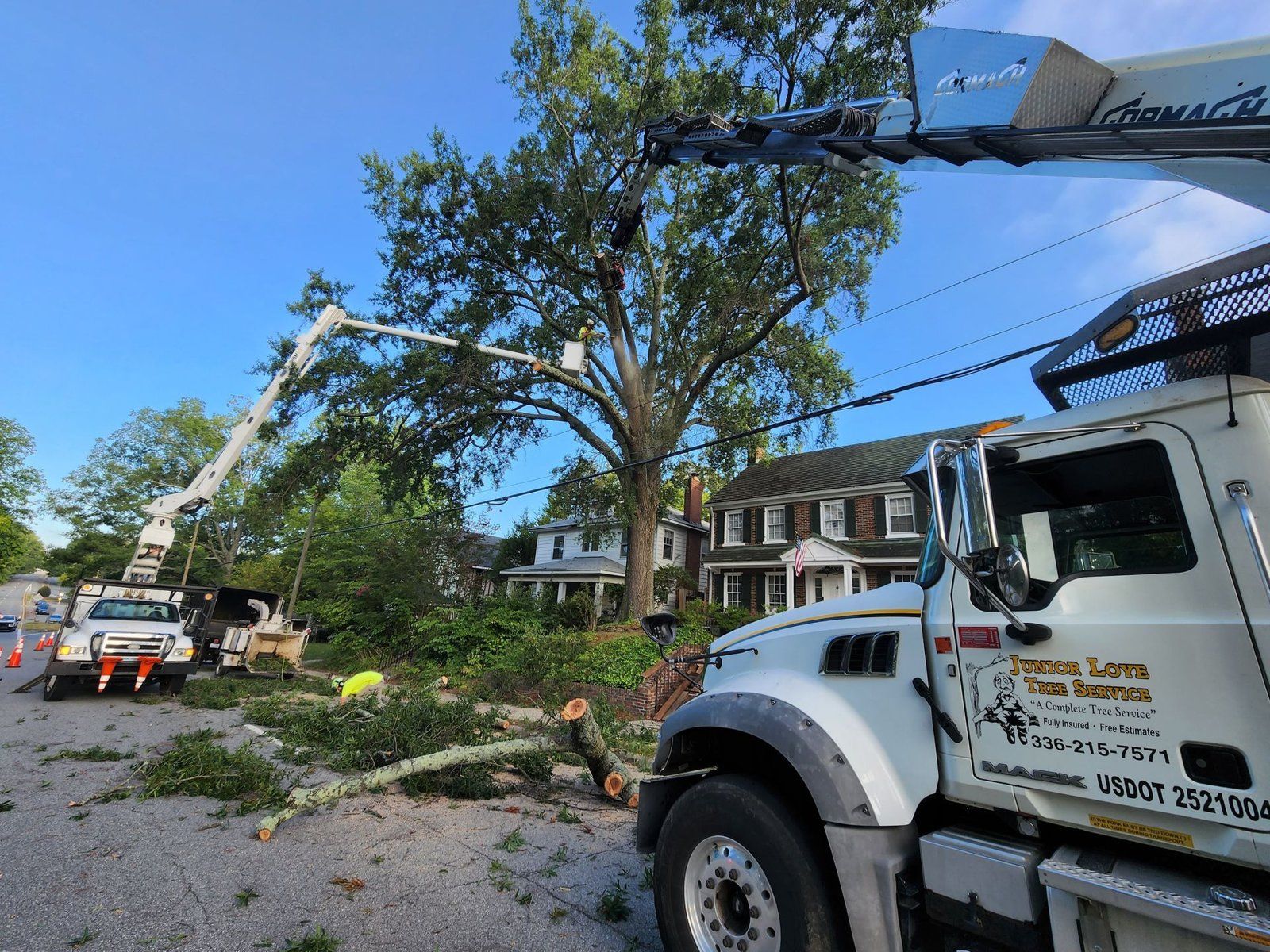 Junior Loye Tree Service bucket truck and crane at a tree removal job