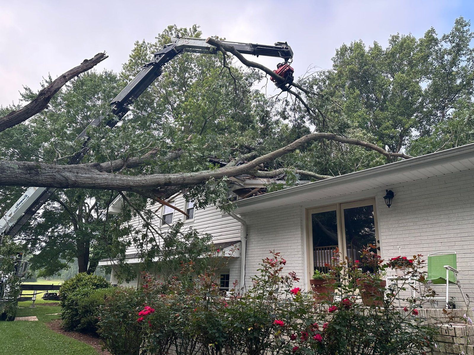 Crane lifting a large fallen tree off a house